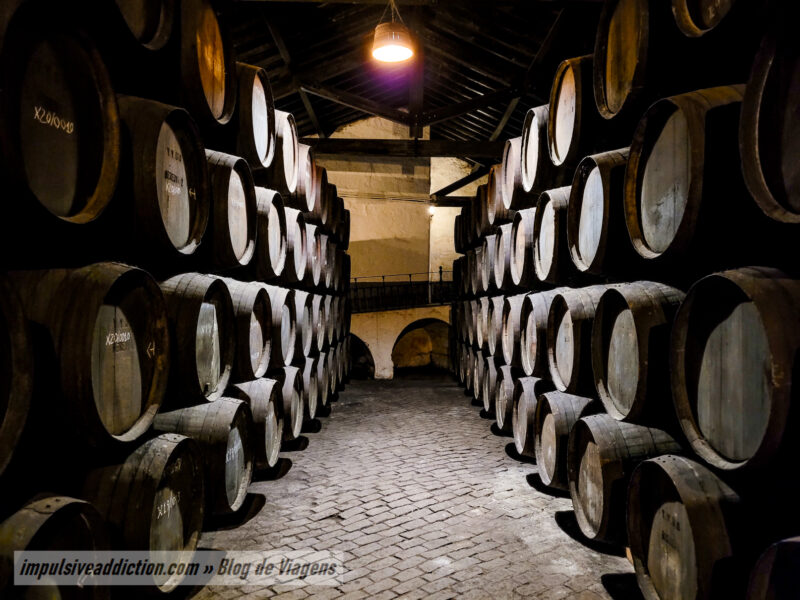 Wine Cellars in Porto
