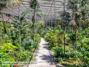 Best parks and gardens in Lisbon | Portugal